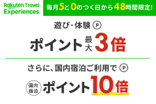 楽天トラベル観光体験はリーベイツ経由でお得にお買い物 楽天トラベル観光体験