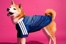 アディダス|adidas 公式オンラインショップはリーベイツ経由でお得にお買い物 アディダス|adidas 公式オンラインショップ