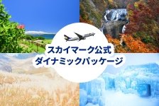 スカイパックツアーズ