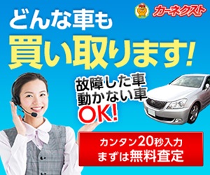 中古車買取カーネクストはリーベイツ経由でお得にお買い物 中古車買取カーネクストはリーベイツ経由でお得にお買い物